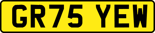 GR75YEW