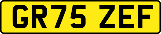 GR75ZEF