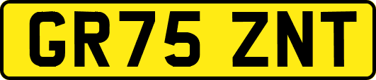 GR75ZNT