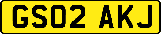 GS02AKJ