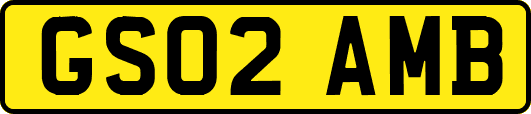 GS02AMB