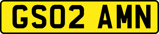 GS02AMN
