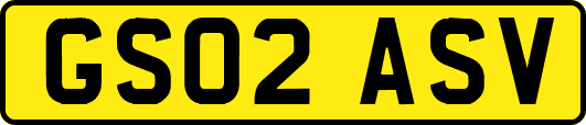 GS02ASV