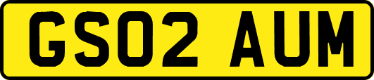 GS02AUM