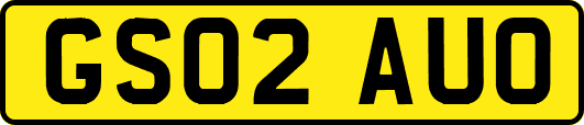 GS02AUO