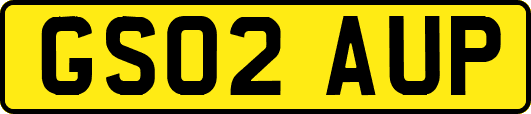 GS02AUP
