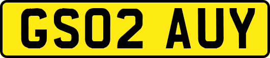 GS02AUY
