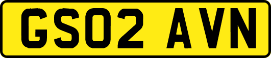 GS02AVN