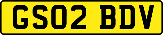 GS02BDV