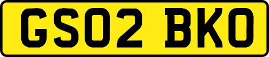 GS02BKO