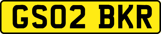 GS02BKR