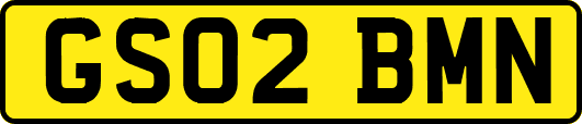 GS02BMN