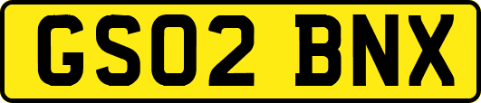 GS02BNX