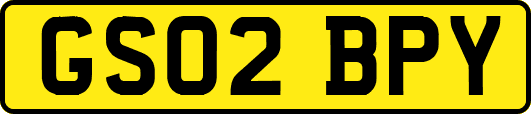 GS02BPY