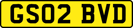 GS02BVD
