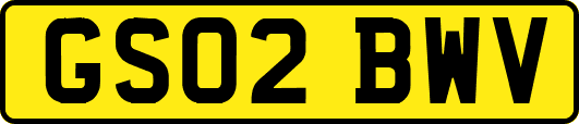 GS02BWV
