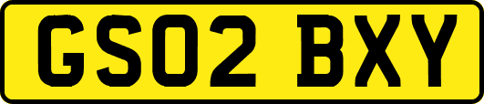 GS02BXY