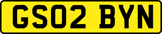GS02BYN