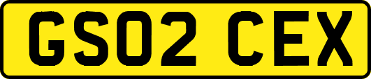 GS02CEX