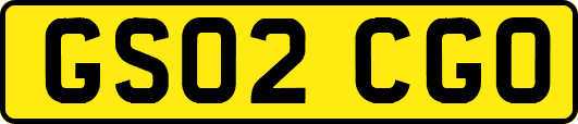 GS02CGO