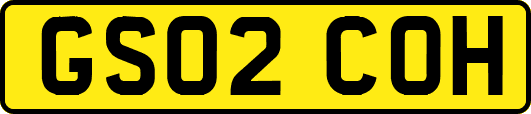 GS02COH