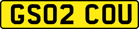 GS02COU
