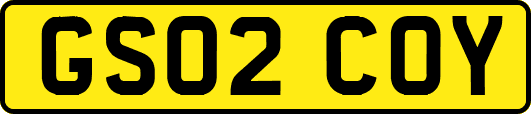 GS02COY