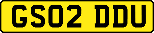 GS02DDU