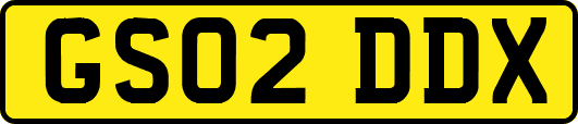 GS02DDX