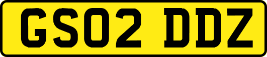 GS02DDZ