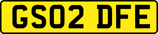 GS02DFE