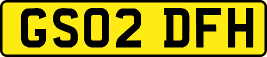 GS02DFH