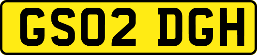 GS02DGH