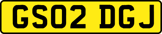 GS02DGJ