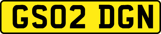 GS02DGN