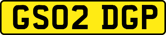 GS02DGP