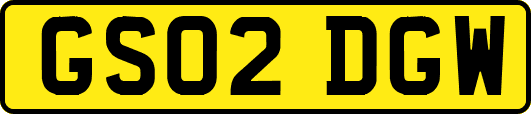 GS02DGW