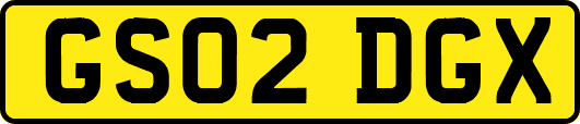 GS02DGX