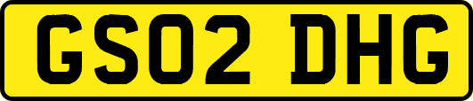 GS02DHG
