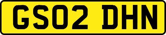GS02DHN