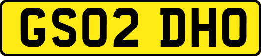 GS02DHO