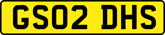 GS02DHS
