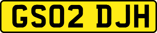 GS02DJH