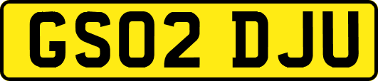 GS02DJU