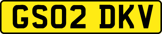 GS02DKV
