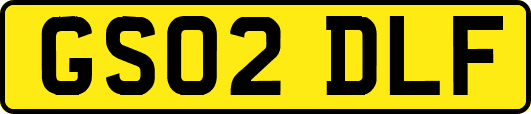 GS02DLF