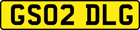 GS02DLG