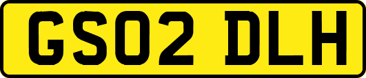 GS02DLH