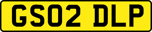 GS02DLP