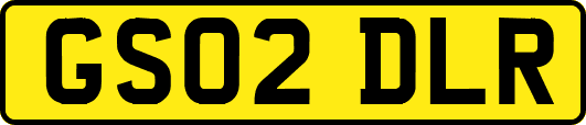 GS02DLR